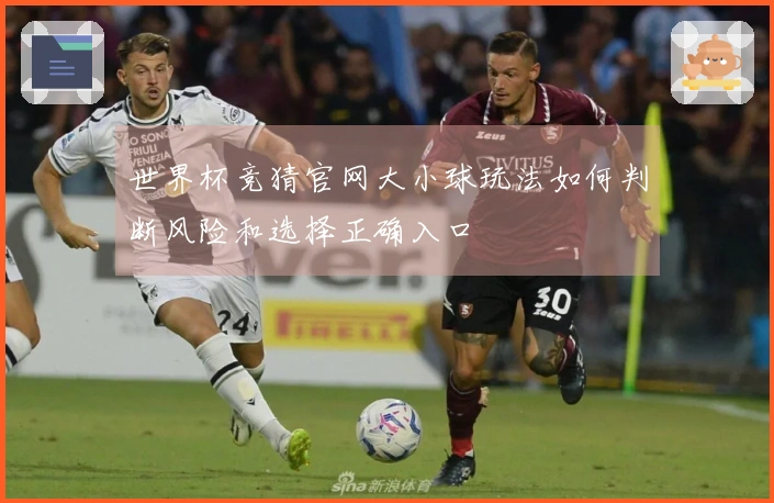 世界杯竞猜官网大小球玩法如何判断风险和选择正确入口