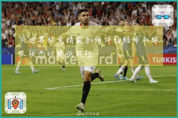 买世界杯竞猜前如何评估赔率和球队状态以降低风险