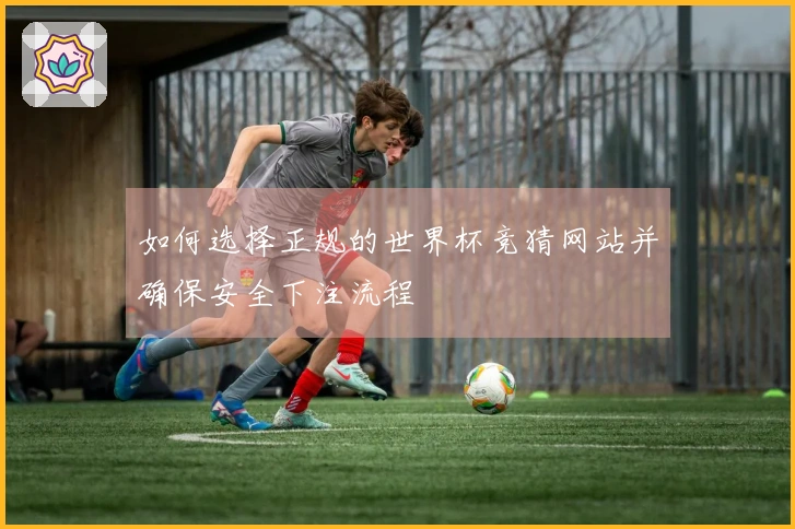 如何选择正规的世界杯竞猜网站并确保安全下注流程